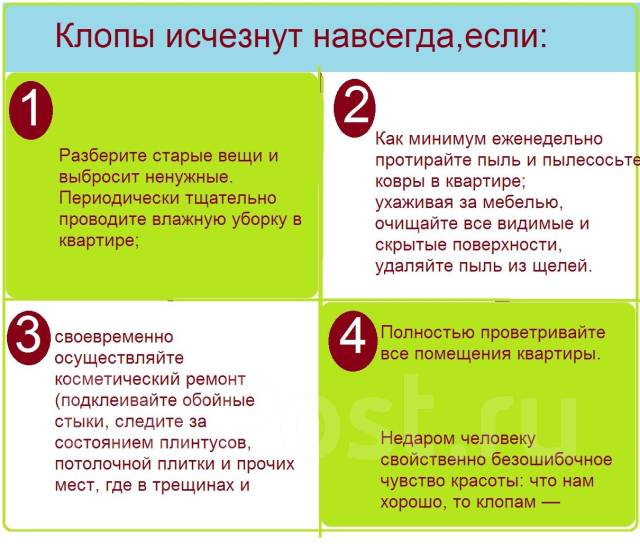 Профессиональное уничтожение тараканов, клопов, блох. Туманом - Для ...