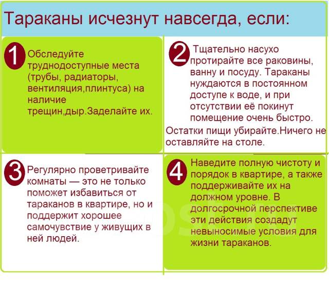 Профессиональное уничтожение тараканов, клопов, блох. Туманом - Для ...