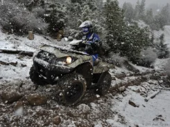 Kawasaki Brute Force 750. ��������, ���� ���\���, ��� ������� ����