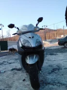 Irbis Nirvana. 100����. ��., ��������, ��� ���, ������ �� �� ����
