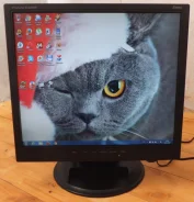 Iiyama ProLite E485S-W. 19" ����
