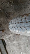 Bridgestone 738V. �����������, 1999 ���, �/�, ����� 5 % ����
