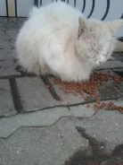�����.