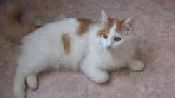 �����.