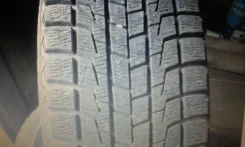 Dunlop Direzza DZ101. ������, ��� �����, 20�%, 2 ��
