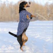 Жилеты.