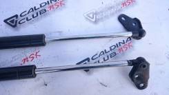 Амортизатор двери багажника. Toyota Caldina, CT216G, ST215W, AT211G, ST210G, ST210, CT216, AT211, ST215G, ST215 Двигатели: 3SGE, 3SFE, 3CTE, 3SGTE, 7A...