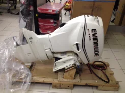Evinrude. 4-�������, ����������, ���� L (508 ��), 2015 ���. ��� ����� �� ������������ ����