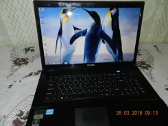 DNS. 17.3", 2 400����, ��� 6 ��, ���� 320���, WiFi: 1, Bluetooth: 1, ����������� �� 2��. ����
