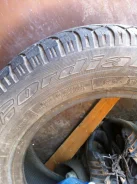 Cordiant Polar 2. ������, ��� ����, �/�, ����� 60�%