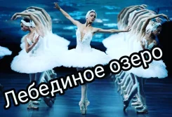 ����� ��������� ����� ����
