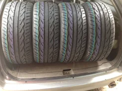 Sportiva Super Z. ������, 2015 ���, ����� ����