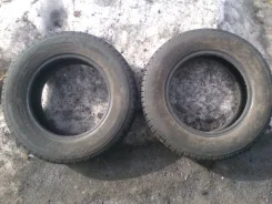 Tunga Camina. �����������, 2015 ���, �/�, ����� 5�% ����