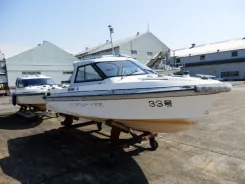 Yamaha LS. 1993 ���, ��������� ������������, ������. ��� ����� �� ������������ ����