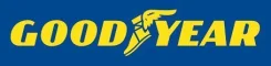 Goodyear Wrangler SilentArmor. ������, 2015 ���, ��� ������, 4 ��