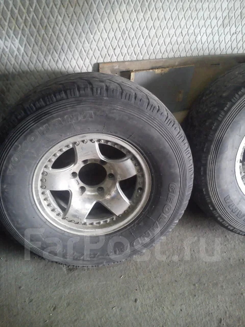 Ensure. x15", 6x115 ����