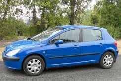 Peugeot 307 ����