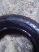 Toyo Spectrum. ������, 10�%, 1 ��