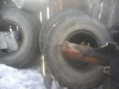 Bontyre T. �����������, �/�, ����� 50�%