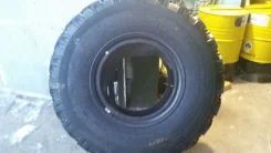 TyRex CRG O-184. ����� mt, ����� ����