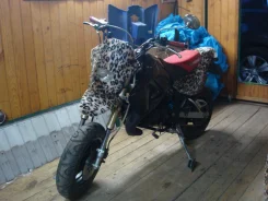Kawasaki KSR110. 100����. ��., ��������, ���, � �������� ����