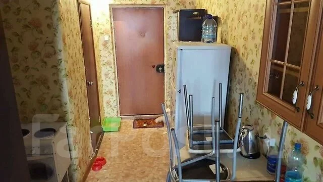 ��������, ����� ����������� 4. "�����", ���������, 23���.��., ������������ ������ ����