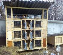 Клетки. Под заказ