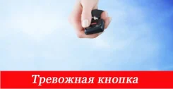 ������ �������� ������������. ����