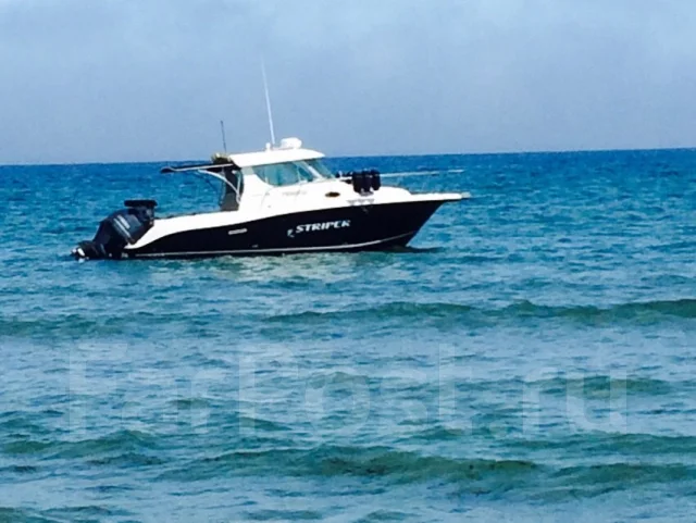 Striper. 2006 ���, ��������� ���������, ������ ����