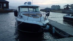 Striper. 2006 ���, ��������� ���������, ������ ����