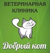 Услуги ветеринаров.