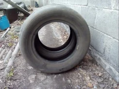 Dunlop SP 65e. ������, 50�%, 2 ��