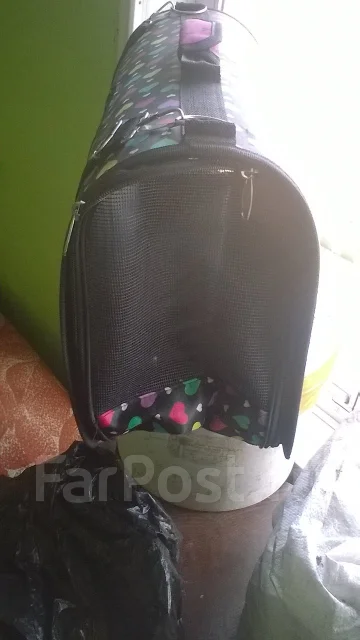 �����. ����