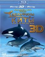 Дельфины и киты: обитатели океана 3D и 2D (Real 3D Blu-Ray)