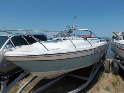 Yamaha FR-21. 1998 ���, ��������� ���������, ������ ����
