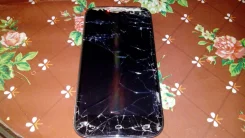 DNS S5002. �/� ����