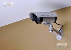 Canon DC10