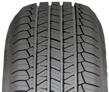 Tigar SUV Summer