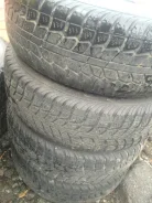 Federal Himalaya WS1. �����������, 2007 ���, 60�%, 4 ��