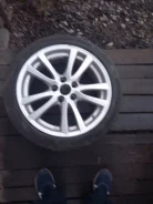 Conti. x18" ����