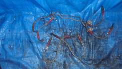 Шланг тормозной. Subaru Legacy, BHC, BES, BHE, BH5, BEE, BE5, BH9, BE9