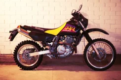 Suzuki DR 650. 650����. ��., ��������, ���, ��� �������. ��� ����� �� �����-���������� ����