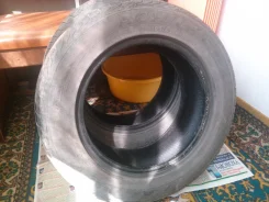 Achilles Platinum. ������, 50�%, 2 ��