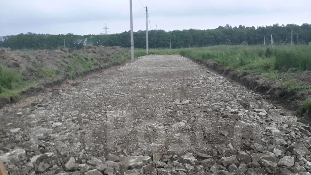 �����. ����