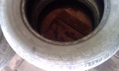 Trazano. ������, 2011 ���, �/�, ����� 80 % ����