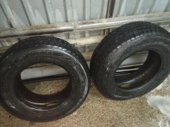 Nokian WR. ������, �/�, ����� 10�%