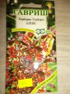Барбарис.