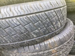 Geotrac. ������, 2010 ���, 20�%