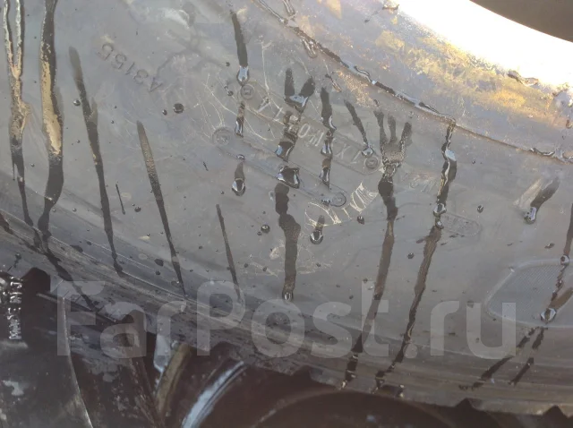 Dunlop SP. �����������, 2014 ���, ����� ����
