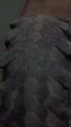 Superstone Crocodile Xtreme. ����� mt, 2014 ���, �/�, ����� 90 % ����